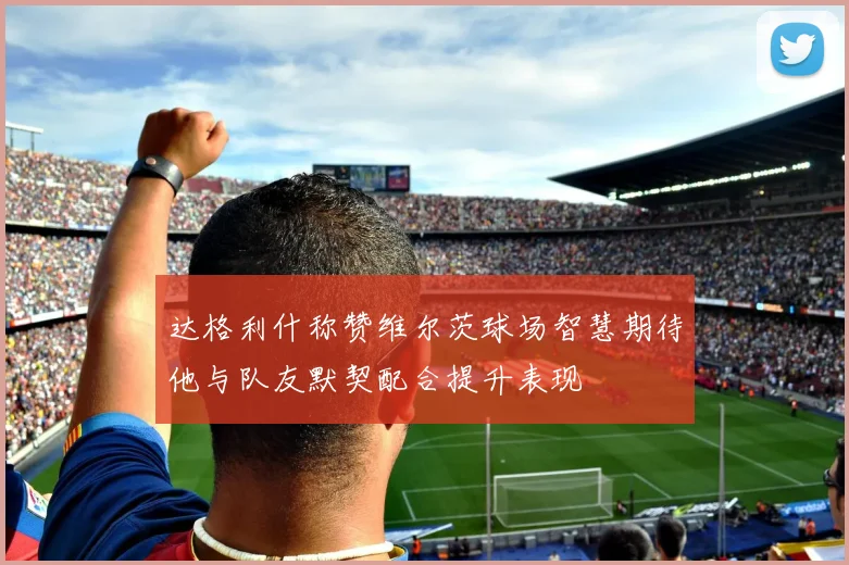 达格利什称赞维尔茨球场智慧期待他与队友默契配合提升表现