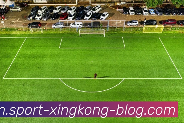 星空体育APP 高清赛事图